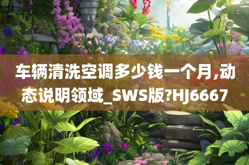 车辆清洗空调多少钱一个月,动态说明领域_SWS版?HJ6667
