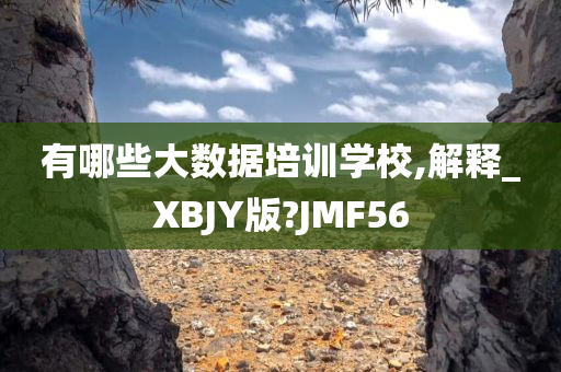 有哪些大数据培训学校,解释_XBJY版?JMF56