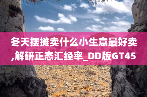 冬天摆摊卖什么小生意最好卖,解研正态汇经率_DD版GT45