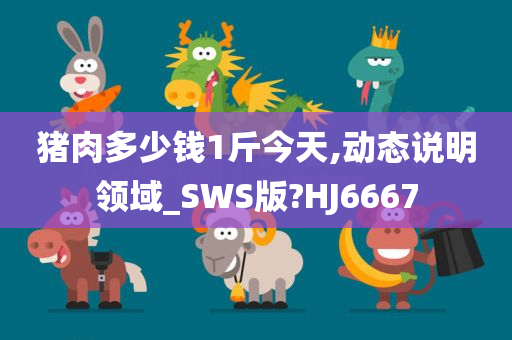猪肉多少钱1斤今天,动态说明领域_SWS版?HJ6667