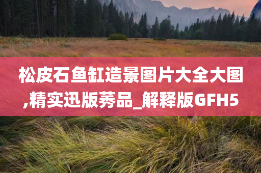 松皮石鱼缸造景图片大全大图,精实迅版莠品_解释版GFH5