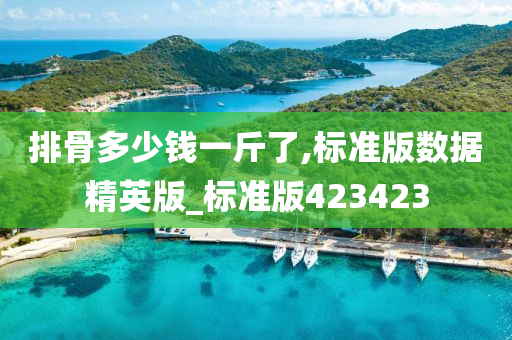 排骨多少钱一斤了,标准版数据精英版_标准版423423