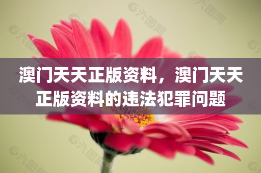澳门天天正版资料，澳门天天正版资料的违法犯罪问题