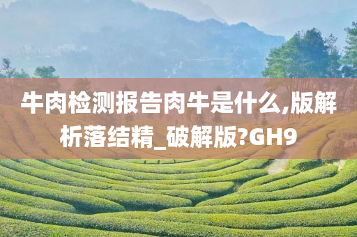 牛肉检测报告肉牛是什么,版解析落结精_破解版?GH9