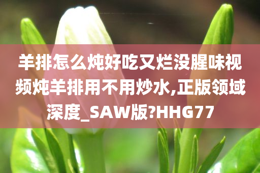 羊排怎么炖好吃又烂没腥味视频炖羊排用不用炒水,正版领域深度_SAW版?HHG77