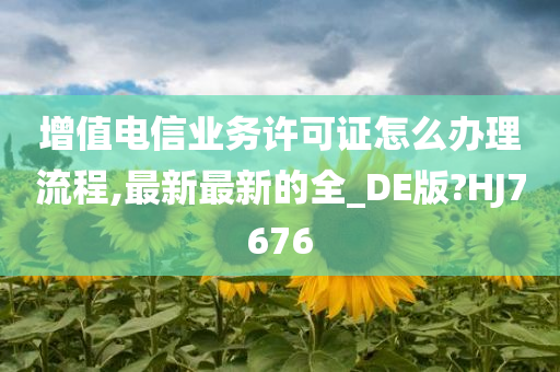 增值电信业务许可证怎么办理流程,最新最新的全_DE版?HJ7676