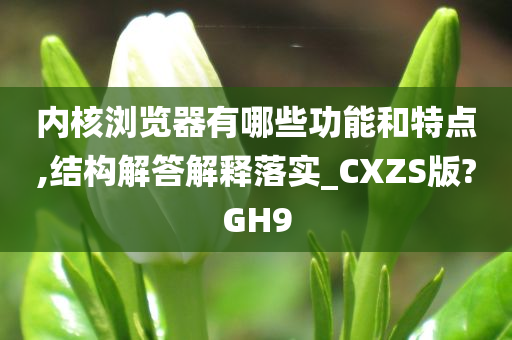 内核浏览器有哪些功能和特点,结构解答解释落实_CXZS版?GH9