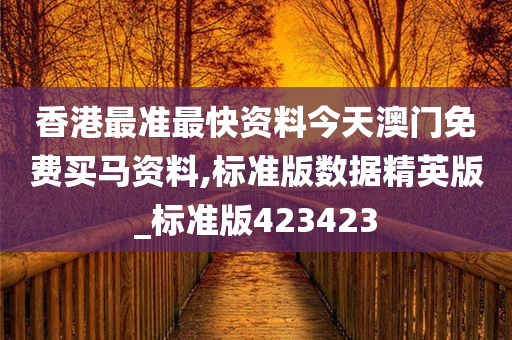 香港最准最快资料今天澳门免费买马资料,标准版数据精英版_标准版423423