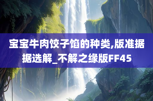 宝宝牛肉饺子馅的种类,版准据据选解_不解之缘版FF45