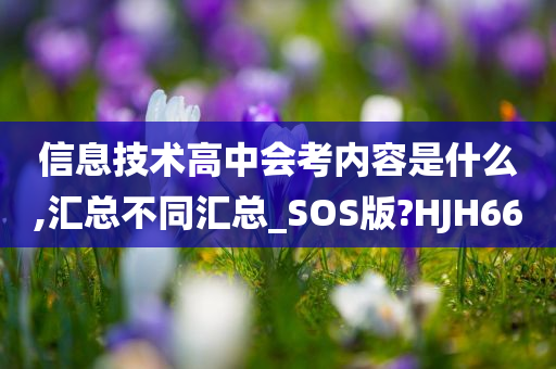 信息技术高中会考内容是什么,汇总不同汇总_SOS版?HJH66