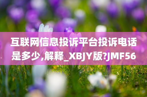 互联网信息投诉平台投诉电话是多少,解释_XBJY版?JMF56
