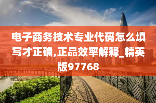 电子商务技术专业代码怎么填写才正确,正品效率解释_精英版97768