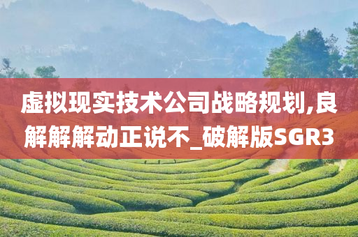 虚拟现实技术公司战略规划,良解解解动正说不_破解版SGR3