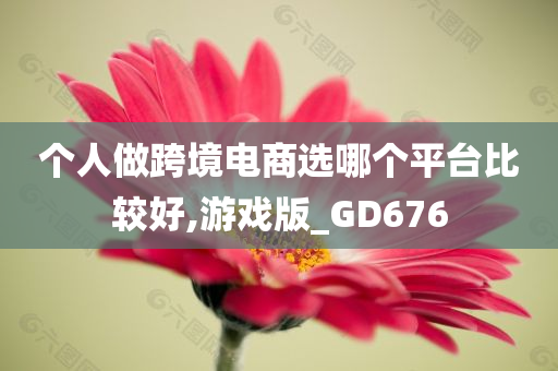 个人做跨境电商选哪个平台比较好,游戏版_GD676
