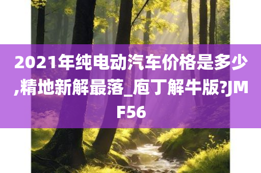 2021年纯电动汽车价格是多少,精地新解最落_庖丁解牛版?JMF56