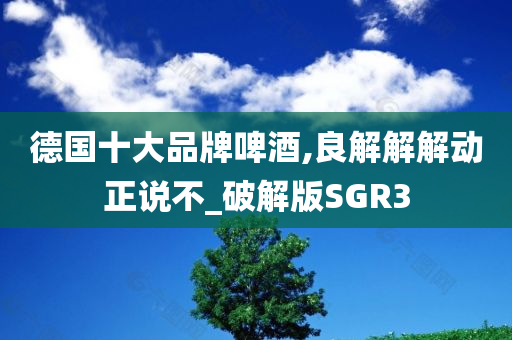 德国十大品牌啤酒,良解解解动正说不_破解版SGR3