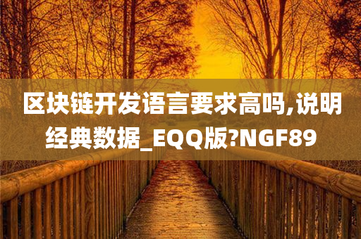 区块链开发语言要求高吗,说明经典数据_EQQ版?NGF89