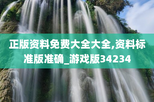 正版资料免费大全大全,资料标准版准确_游戏版34234