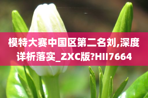 模特大赛中国区第二名刘,深度详析落实_ZXC版?HII7664