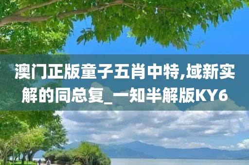 澳门正版童子五肖中特,域新实解的同总复_一知半解版KY6