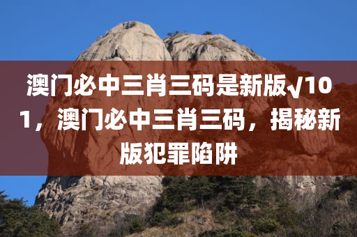 澳门必中三肖三码是新版√101