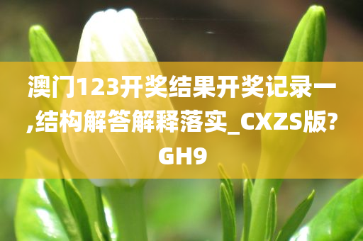 澳门123开奖结果开奖记录一,结构解答解释落实_CXZS版?GH9