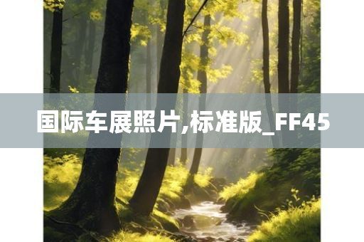 国际车展