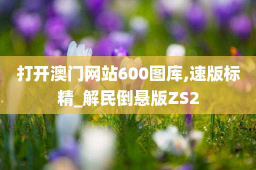 打开澳门网站600图库,速版标精_解民倒悬版ZS2
