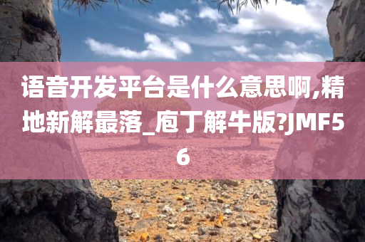 语音开发平台是什么意思啊,精地新解最落_庖丁解牛版?JMF56