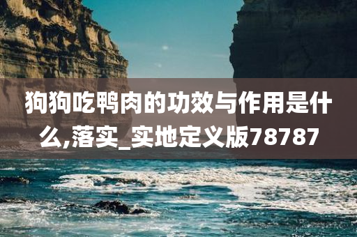 狗狗吃鸭肉的功效与作用是什么,落实_实地定义版78787