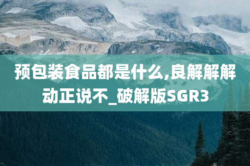 预包装食品都是什么,良解解解动正说不_破解版SGR3
