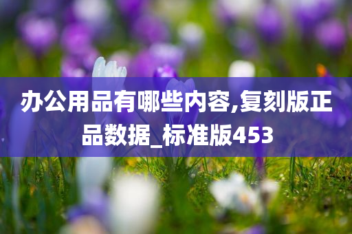 办公用品有哪些内容,复刻版正品数据_标准版453