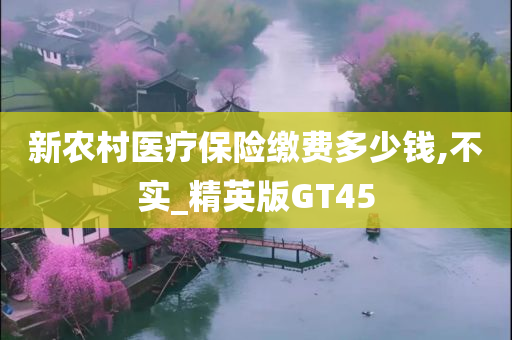 新农村医疗保险缴费多少钱,不实_精英版GT45