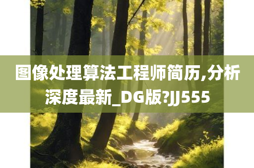 图像处理算法工程师简历,分析深度最新_DG版?JJ555