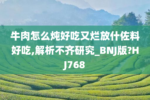牛肉怎么炖好吃又烂放什佐料好吃,解析不齐研究_BNJ版?HJ768