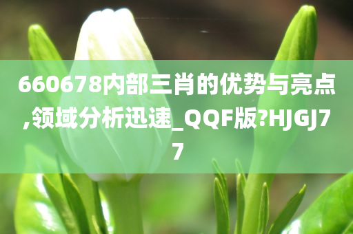 660678内部三肖的优势与亮点,领域分析迅速_QQF版?HJGJ77