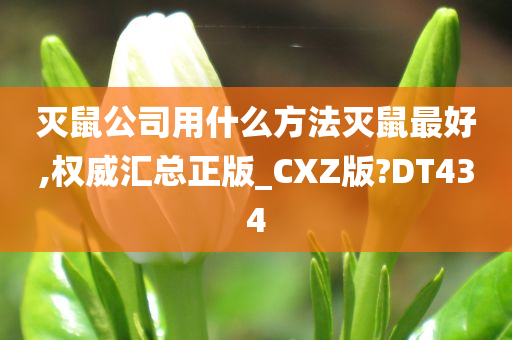 灭鼠公司用什么方法灭鼠最好,权威汇总正版_CXZ版?DT434