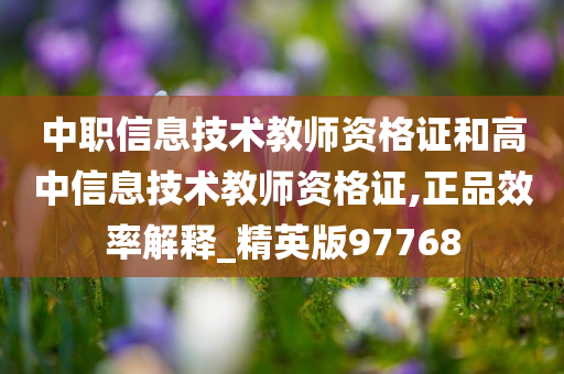 中职信息技术教师资格证和高中信息技术教师资格证,正品效率解释_精英版97768