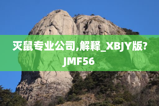 灭鼠专业公司,解释_XBJY版?JMF56