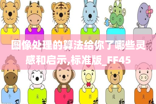 图像处理的算法给你了哪些灵感和启示,标准版_FF45