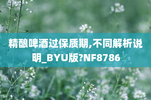 精酿啤酒过保质期,不同解析说明_BYU版?NF8786