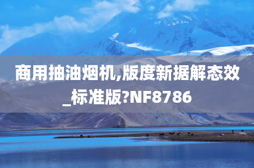 商用抽油烟机,版度新据解态效_标准版?NF8786