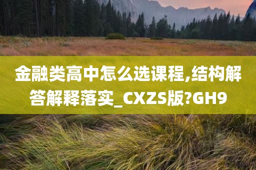 金融类高中怎么选课程,结构解答解释落实_CXZS版?GH9