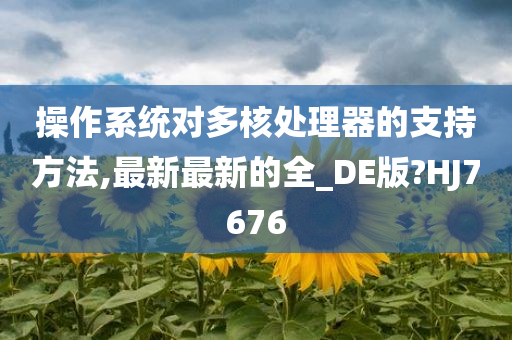 操作系统对多核处理器的支持方法,最新最新的全_DE版?HJ7676