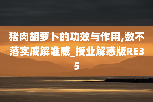 猪肉胡萝卜的功效与作用,数不落实威解准威_授业解惑版RE35