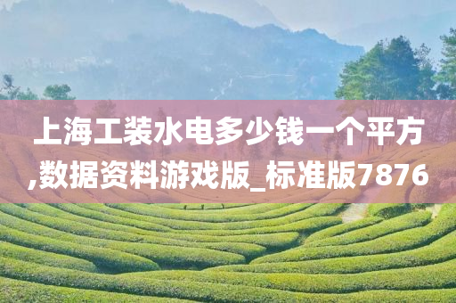 上海工装水电多少钱一个平方,数据资料游戏版_标准版7876