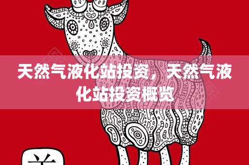 天然气液化站投资，天然气液化站投资概览