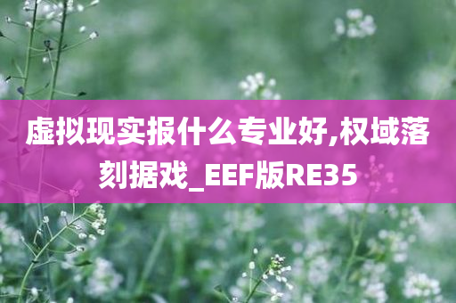 虚拟现实报什么专业好,权域落刻据戏_EEF版RE35