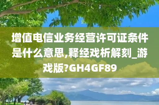 增值电信业务经营许可证条件是什么意思,释经戏析解刻_游戏版?GH4GF89