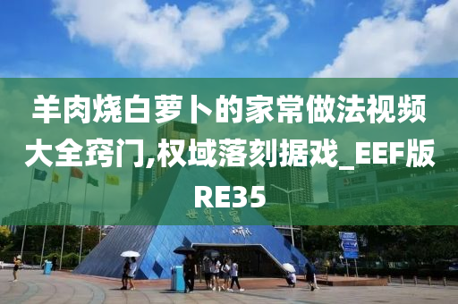 羊肉烧白萝卜的家常做法视频大全窍门,权域落刻据戏_EEF版RE35